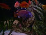 DSCN3868