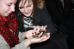 IMG 6246