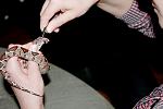IMG 6214