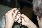 IMG 6223