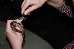 IMG 6213