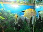 IMG 5679