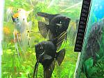 IMG 5678