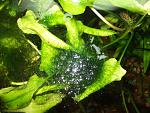 DSCF5805