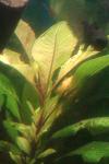IMAG0881