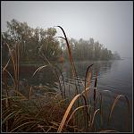 Canon 5D + Canon 17x40 f4L 
iso125, 1/250, f8.