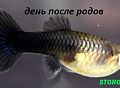 getImage (16)