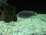 IMG 7085