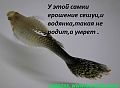 getImage (14)