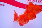 DSC0035