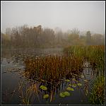 Canon 5D + Canon 17x40 f4L 
iso125, 1/150, f8.