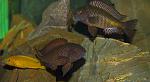 IMG 0007 (2)