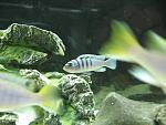 IMG 7141