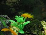 IMG 7108