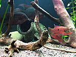 IMG 6024 Little