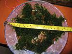   (Drepanocladus sp. - Flat moss),