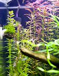 IMG 4780