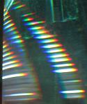 IMG 7152