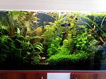 IMG 20130409 151416