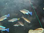 DSCN1361