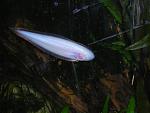 DSCN0900