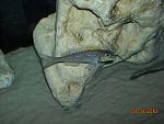 DSCN1377