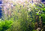 IMG 4779