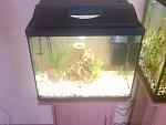 IMG 20130223 00034