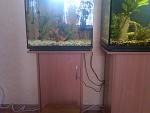 IMG 20130223 00033