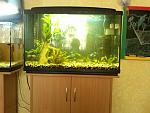 IMG 20130223 00021