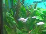 IMG 20130504 181433