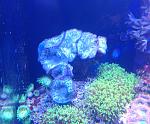  2013 05 07 21.37.58 (1)