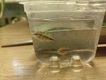 IMG 20130513 124656