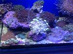  2013 05 07 21.37.22 (6)
