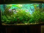 IMG 20130127 190701