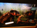 DSCN3856
