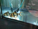 DSCN0445 