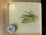 IMG 20130518 134022