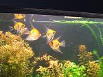 DSCF0256