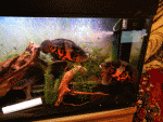 DSCN3858