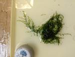 IMG 20130518 134805