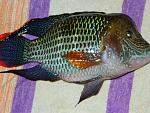 DSCN3878