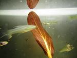 IMG 3219