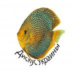 Discus