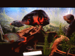 DSCN3765