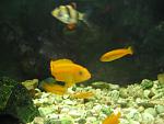 IMG 7262