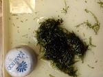 IMG 20130518 134630