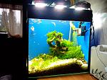 IMG 20130514 194528