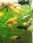 DSCF2627