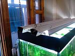 IMG 20130609 202943[1]